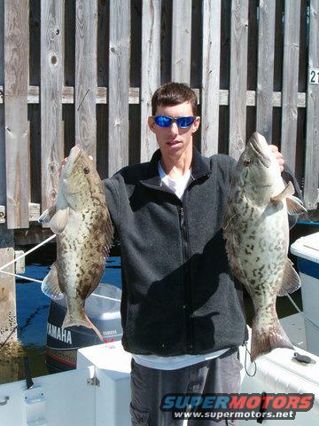 Man holding two large fish with Yamaha outboard motor in background