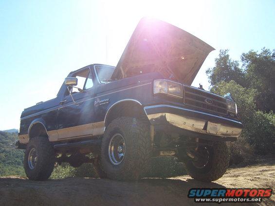 Dark blue Ford Bronco with tan stripe and lifted suspension, hood open