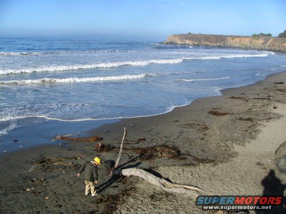 Person in yellow hard hat on a sandy beach with waves and driftwood