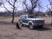 butcher the rottweiler and brutus the bronco