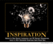 2001 Ford Crown Victoria - A motivational poster depicts a broken lightbulb symbolizing inspiration.