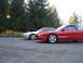 1994 Ford Probe - Two Ford Probes are parked on asphalt in front of a line of evergreen trees.