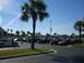 1996 Ford Probe - A gathering of cars in a parking lot with palm trees and a clear blue sky.