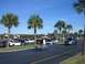 1996 Ford Probe - A gathering of vehicles under a bright blue sky, with several palm trees dotting the landscape.
