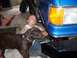 1988 Ford Pickup - Cooper and Sean discussing the finer points of radius arm bushings