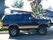 1989 Ford Bronco - This lifted Ford Bronco is parked on a street with a house and palm trees in the background.