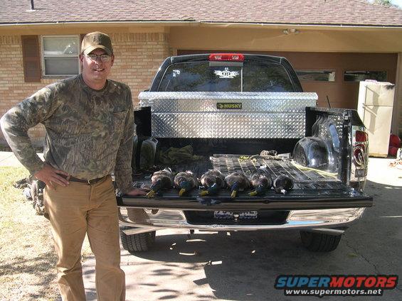 Rear view of black pickup truck with hunting dogs in bed