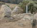 DSC00010.JPG