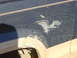 DSC00054.JPG