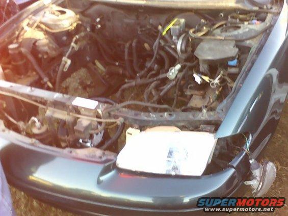 Engine bay and front headlight of a dark green car