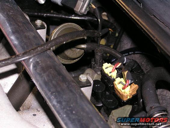 Engine bay with yellow fuel injector connectors and vacuum lines