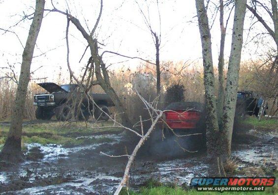 1978 Ford Bronco with hood up in mud, red truck stuck, blue truck in background