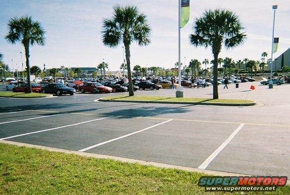 Parking lot scene with many cars under palm trees, sunny day