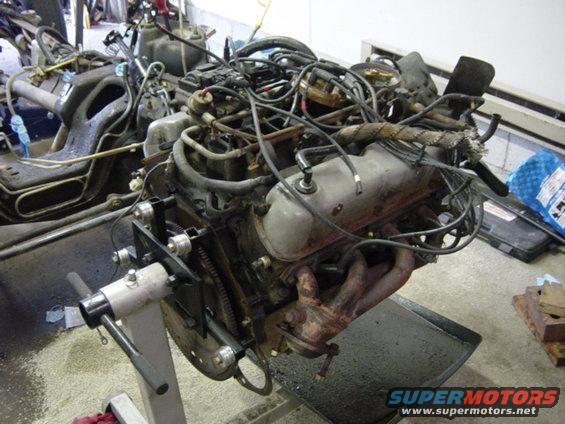 dsc00459.jpg The Summit shorties only cost $125 for the pair.  They're made by Pacesetter.