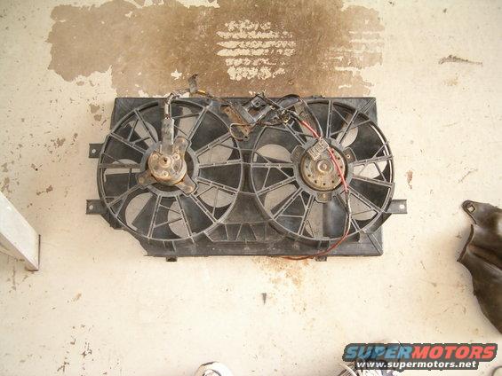 Radiator fan assembly with two fans and wiring