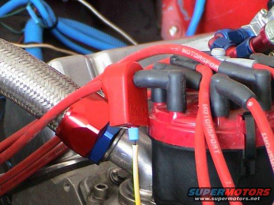 Red spark plug wires with black boots connect to a red distributor cap. Braided metal hose and blue fittings visible