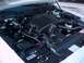 1998 Ford Crown Victoria - 4.6L workhorse