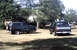 1996 Ford Bronco - Two dark green Ford Broncos are parked on a grassy area with trees and a house in the background.