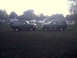 1996 Ford Bronco - Two Ford Broncos are parked in a residential area during the daytime.
