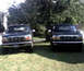 1996 Ford Bronco - Two 1996 Ford Broncos are parked on a lawn, facing the camera.
