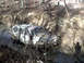 1996 Ford Bronco - This Guy was having a bad day. Took 2 jeeps to pull him out of the secound hole of the trench. He had just finished changing a flat. When h…