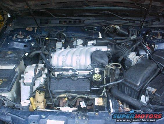 Engine bay with V6 engine, alternator, and various hoses and fluids