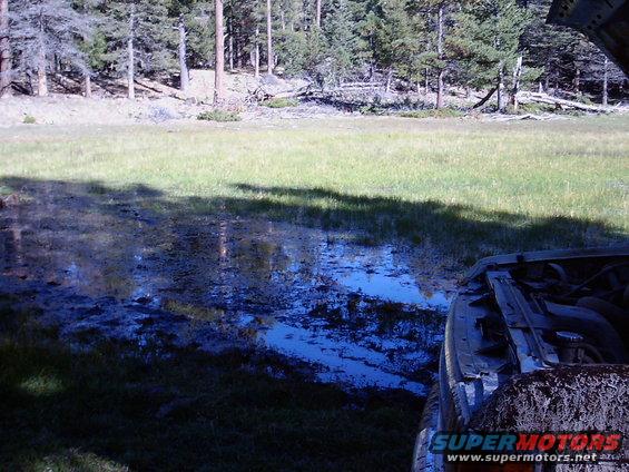 wheelin-on-capulin-mountain-(3).jpg I found out the hard way all that nice grass is covered by a foot or more of water and lots of gooey muck.