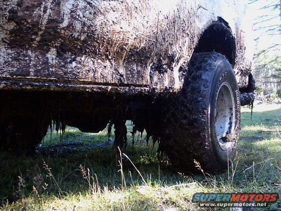 Looked like it came from the swamp after I finally removed it.  Notice the usual rust on the fenders.