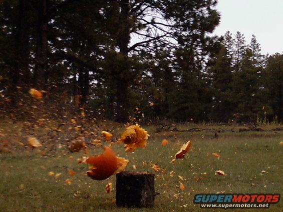 Pumpkin + 12 guage shotgun = one hell of a picture.