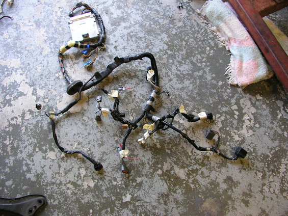 Engine wiring harness with ECU