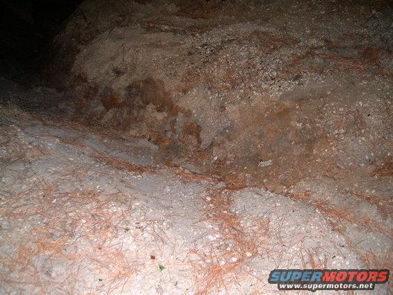Ground covered in dirt, gravel, and pine needles