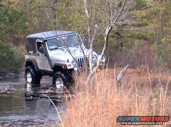 Silver Jeep Wrangler with a black soft top driving through shallow water, tall dry grass and trees in the background