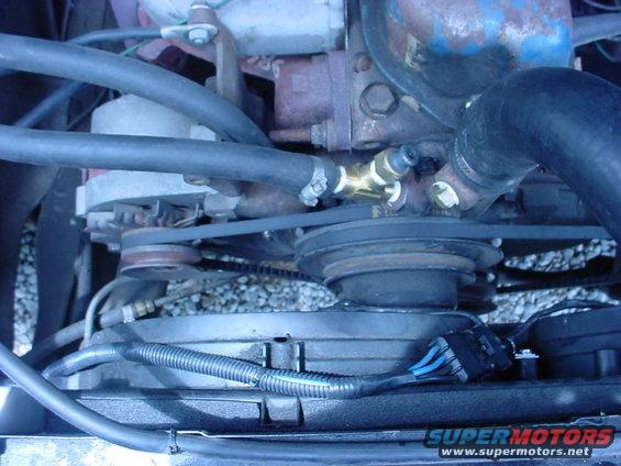 Engine fan and alternator with hoses and belts. Water pump housing visible