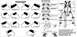 Gear Mesh Patterns using gear marking compound
IF THE IMAGE IS TOO SMALL, click it.

[url=http://www...