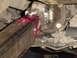 1989 Ford Bronco - Close-up of a driveshaft u-joint with red grease applied.