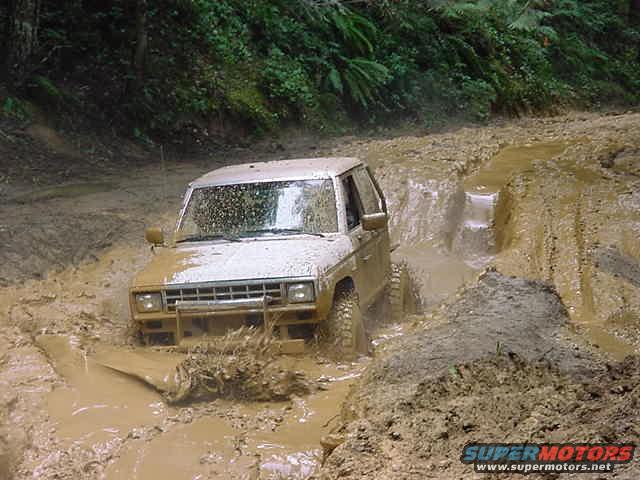 toby.jpeg toby's ranger at play