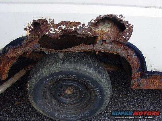 At least the debate over to cut or not to cut the fenders has been solved.
