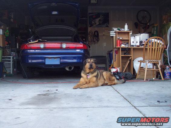 Blue coupe with trunk open, parked in a garage with a dog lying in front of it. Shelving and a bicycle are visible in the background
