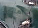 1999 Ford F-150 - driver door and whats left of mirror