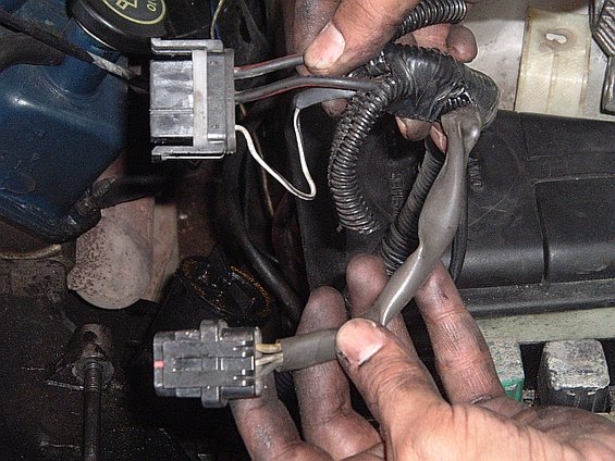 car-pictures-103.jpg here is the early (89-93) alt wiring harness.