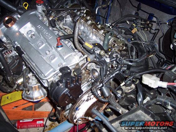 Engine bay with engine parts, wiring, and distributor visible