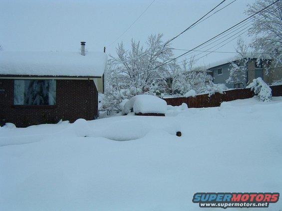 snow-porbe.jpg Spring break 2003