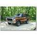 1979 Ford Bronco