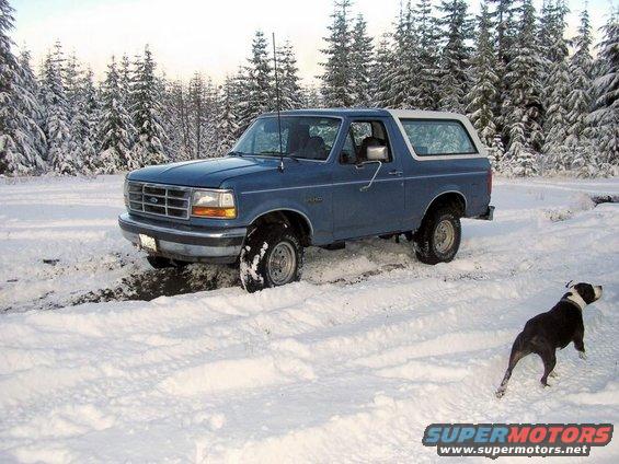Blue 1992 Ford Bronco in snow with a dog nearby