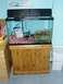 1989 Ford Bronco - An aquarium sits on a wooden stand, containing gravel, a filter bag, and other supplies.