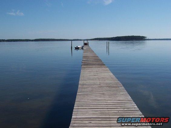 slim-pics-001.jpg Mcfanns back yard