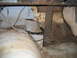 1956 Ford Thunderbird - The interior floor of a vehicle shows a corrugated duct and wiring, with signs of rust and wear.