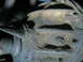1956 Ford Thunderbird photo
