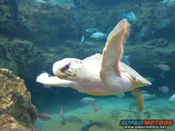 100_0719.jpg