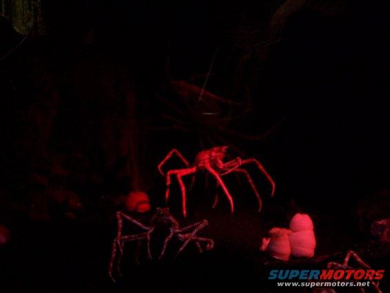 Red illuminated spider models in dark enclosure with pink objects